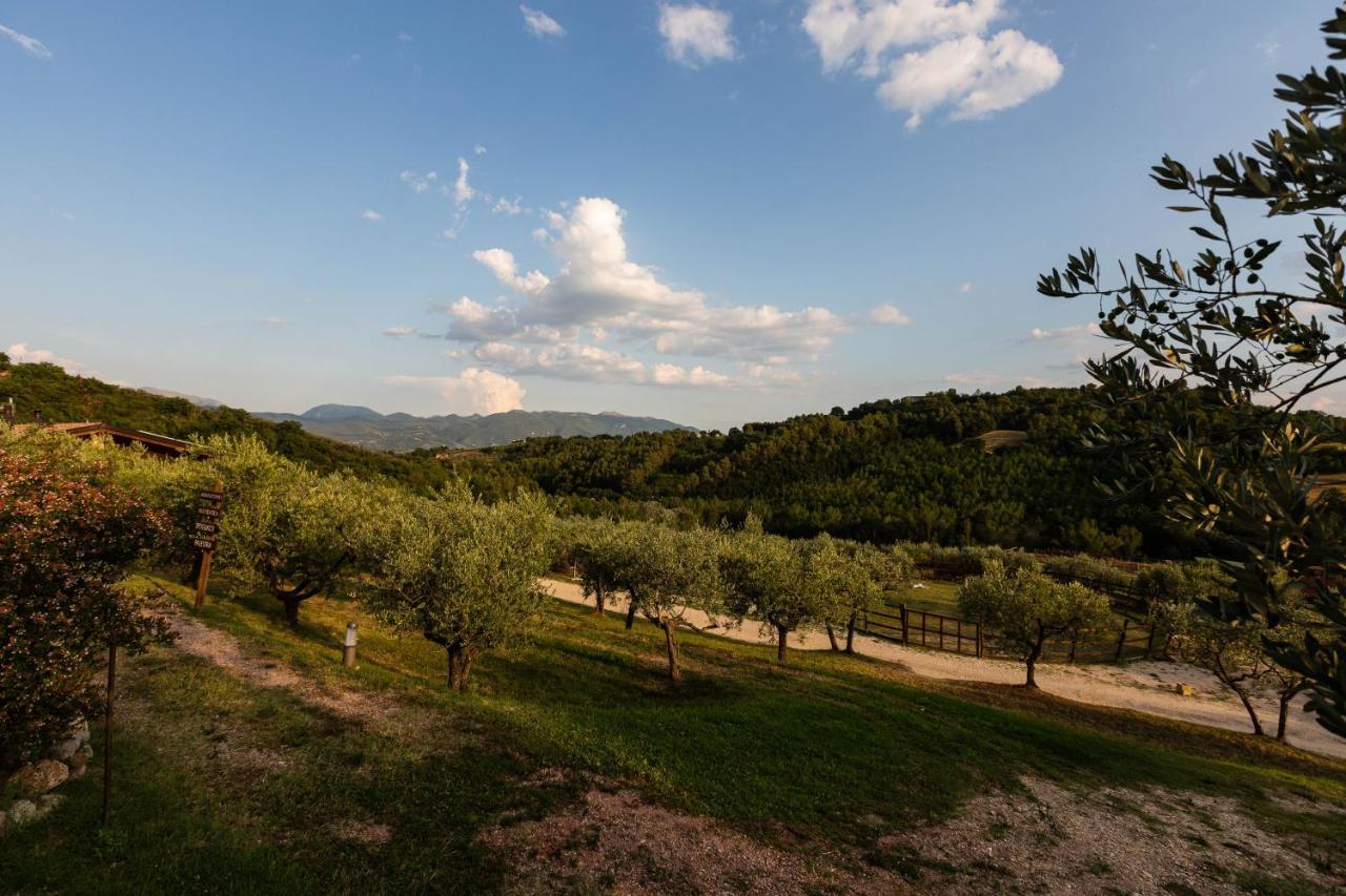 Agriturismo Agrileisuretime Spoleto Eksteriør billede