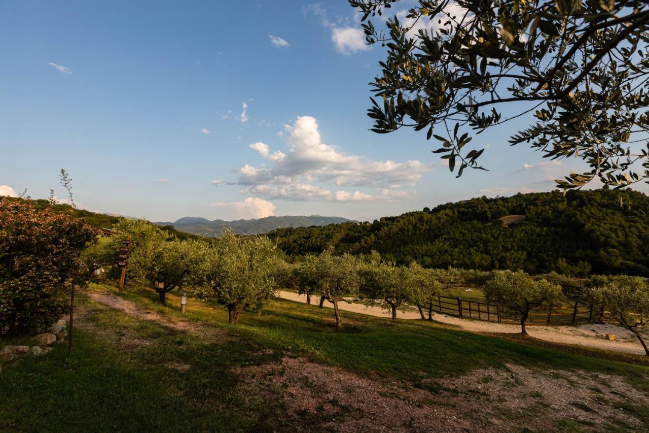 Agriturismo Agrileisuretime Spoleto Eksteriør billede