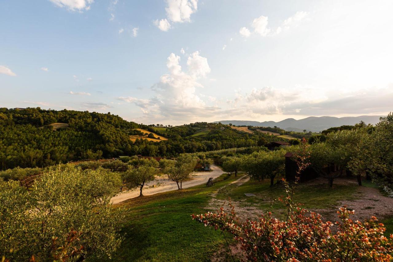 Agriturismo Agrileisuretime Spoleto Eksteriør billede