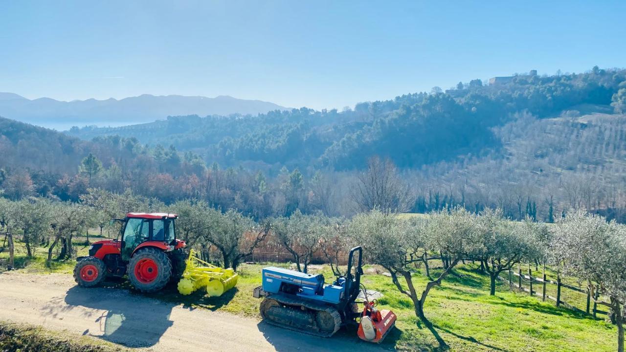 Agriturismo Agrileisuretime Spoleto Eksteriør billede